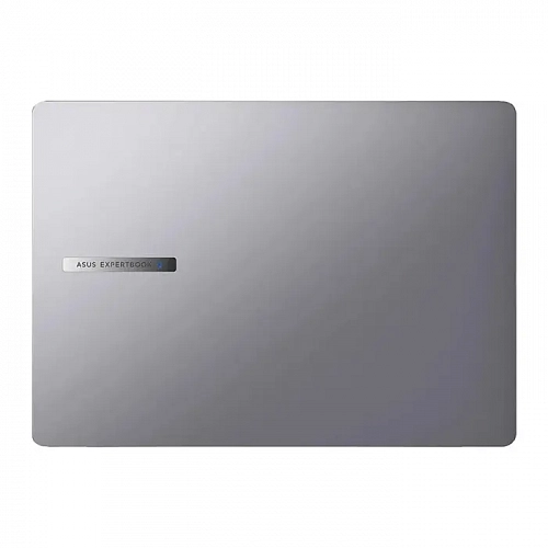 Ноутбук ASUS ExpertBook P5 P5405CSA-NZ0209 (90NX0861-M008B0)