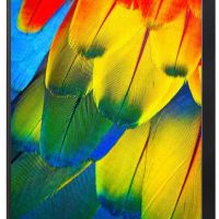 Монитор Lenovo 61CFRAT2EU 23.8 ThinkVision T24m-10 черный IPS,1920x1080,6 ms,178°/178°,250 cd/m,1000:1,+HDM, +DP, +USB Type C, +USB 3.0 x 4) (61CFRAT2EU)