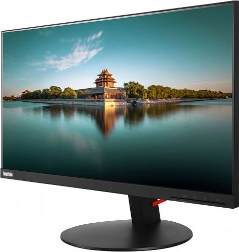 Монитор 23.8 Lenovo ThinkVision T24i-10 Black (IPS,1920x1080,6 ms,178°/178°,250 cd/m,1000:1,VGA+HDMI+DP) (61CEMAT2EU)