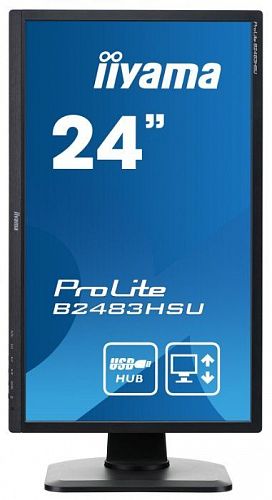 Монитор ЖК IIYAMA ProLite B2483HSU-B1DP 24, черный