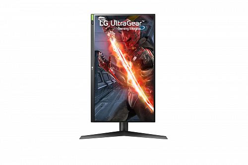 Монитор LG 27GN750-B 27, черный [27GN750-B.ARUZ]