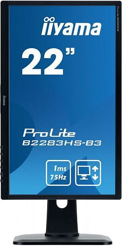 Монитор ЖК IIYAMA ProLite B2283HS-B3 21.5, черный