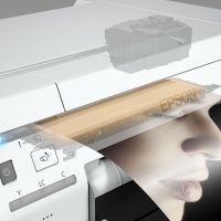Принтер EPSON Surelab SL-D800, Минифотолаборатория, Тиражная печать фотографий (C11CH75301CX)
