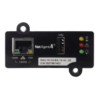 NetAgent (DA807) 1-port