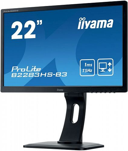 Монитор ЖК IIYAMA ProLite B2283HS-B3 21.5, черный