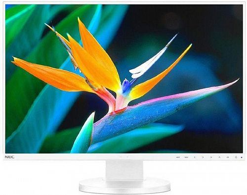 Монитор NEC MultiSync EA241WU white 24 LCD LED monitor, IPS, 16:10, 1920x1200, 5ms, 300 cd/m2, 1000:1/5000:1, 178/178, D-Sub, DVI-I, DP, HDMI, USB 3.0, Tilt, Swivel, HAS 150mm