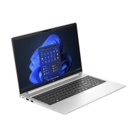 Ноутбук HP ProBook 450 G10 (B39P8AT)