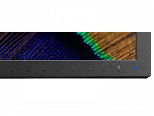 Монитор NEC MultiSync PA311D BK 31.5 LCD IPS monitor, Native 4k 4096x2160, HDR, 2xHDMI, DP, USB-C, LAN 60004941