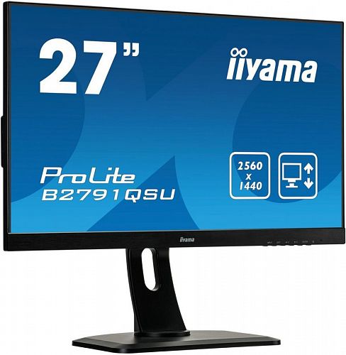 Монитор ЖК IIYAMA ProLite B2791QSU-B1 27, черный