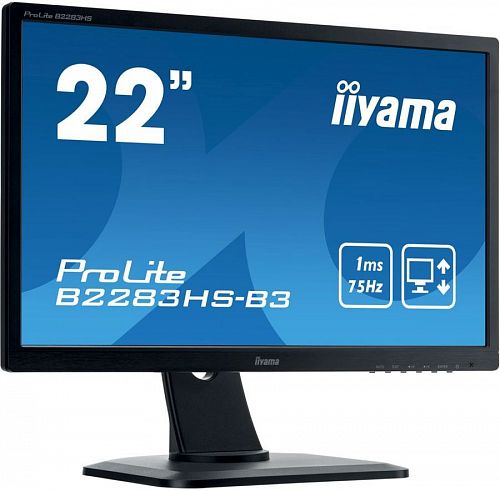Монитор ЖК IIYAMA ProLite B2283HS-B3 21.5, черный