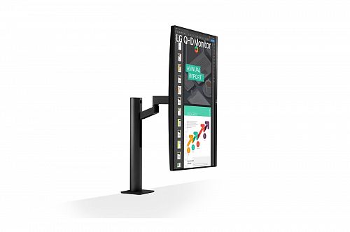 Монитор LG 27QN880-B 27, черный [27QN880-B]