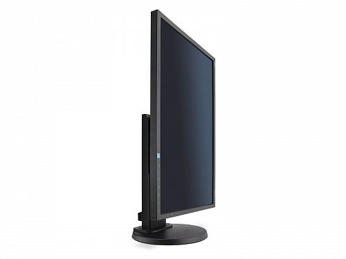 Монитор ЖК NEC MultiSync E223W-BK, 22, черный (E223W-BK)