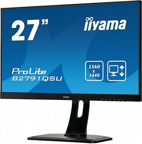 Монитор ЖК IIYAMA ProLite B2791QSU-B1 27, черный