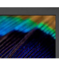 Монитор NEC MultiSync PA311D BK 31.5 LCD IPS monitor, Native 4k 4096x2160, HDR, 2xHDMI, DP, USB-C, LAN 60004941