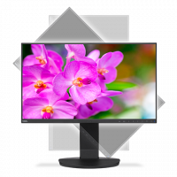Монитор NEC 23.8 EA241F LCD Bk/Bk ( IPS; 16:9; 250cd/m2; 1000:1; 5 ms; 1920x1080; 178/178; D-sub; DVI-D; HDMI; DP; USB; HAS 150mm; Tilt; Swiv 170/170; Pivot; Spk 2х1W )