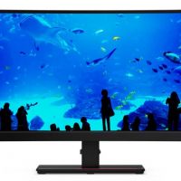 Монитор Lenovo 61F3GAT1EU 34 ThinkVision T34w-20 Curved 21:9 VA 3440x1440 4ms 3000:1 350 178/178 //HDMI 2.0/DP 1.2/USB-C/Tilt, lift