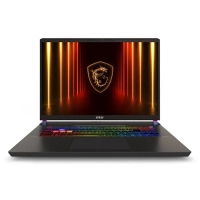 Ноутбук MSI Vector 17 HX AI A2XWJG-062RU 17 2560x1600 (WQXGA) (9S7-17S372-062)