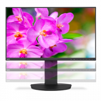 Монитор NEC 23.8 EA241F LCD Bk/Bk ( IPS; 16:9; 250cd/m2; 1000:1; 5 ms; 1920x1080; 178/178; D-sub; DVI-D; HDMI; DP; USB; HAS 150mm; Tilt; Swiv 170/170; Pivot; Spk 2х1W )