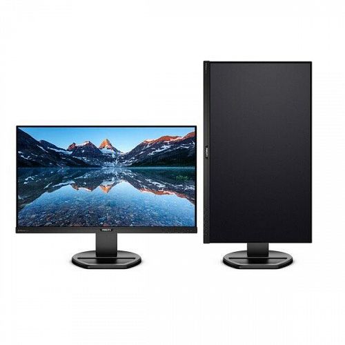 Монитор 25 PHILIPS 252B9/00 Black с поворотом экрана (IPS, LED, 1920x1200, 5 ms, 178°/178°, 300 cd/m, 50M:1, +DVI, +HDMI 1.4, +DisplayPort 1.2, +4xUSB 3.1, +MM)